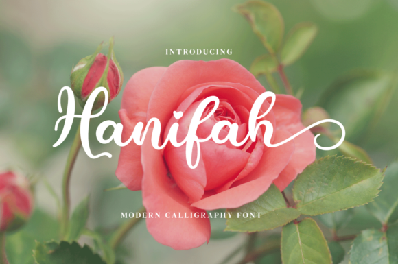 Why Hanifah is the Modern Script Font Your Brand Needs